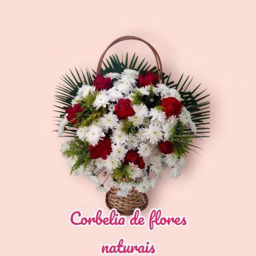 Corbélia fúnebre crisântemos e rosas